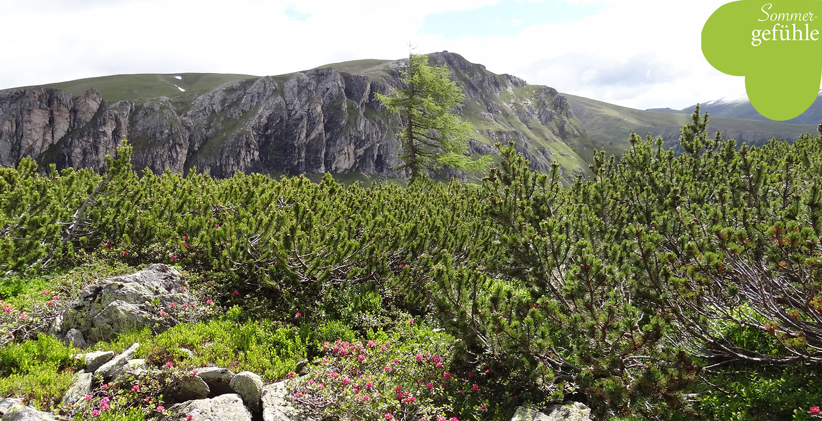 Wandern Nockberge